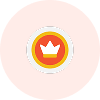 customizer icon