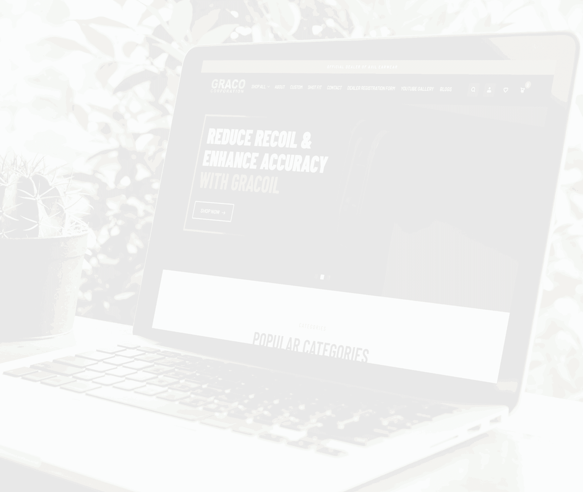 Kushel Digi Solutions - Trusted Web Development Services